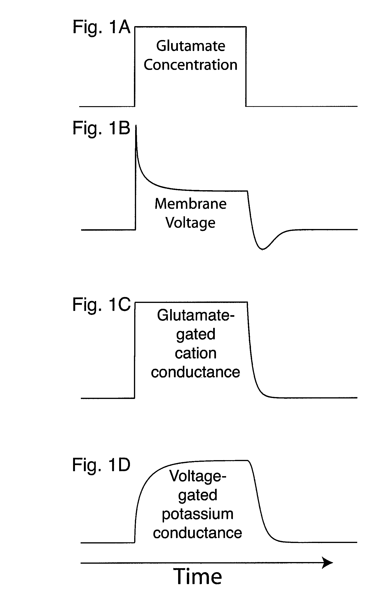 Prediction by single neurons