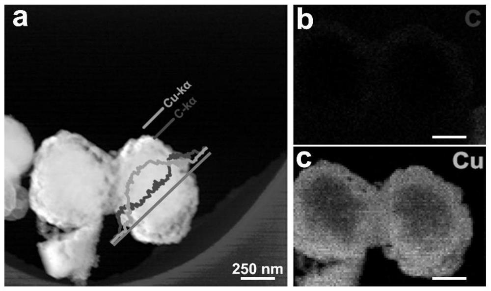 Carbon interlayer copper nanosheet electrocatalyst with sandwich structure, preparation method, electrode and application