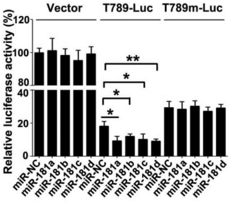 Application of miR181s in preparing drug for treating acute enteritis