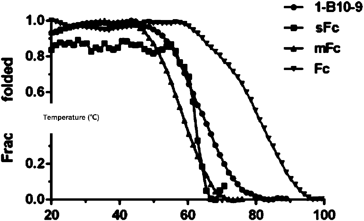 IgG1 Fc monomer and application thereof