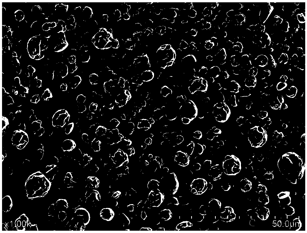 Garlic essential oil microcapsule and preparation method thereof