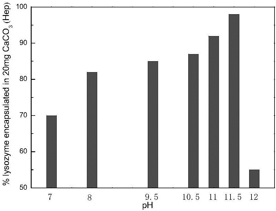 Basic protein entrapment vector, preparation method of entrapment vector and entrapment method