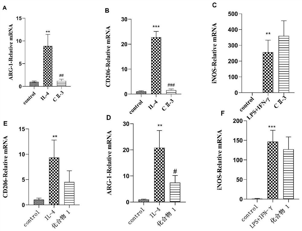 Application of periplaneta americana extract and/or monomer in preparation of drugs for inhibiting M2 polarization in tumor microenvironment