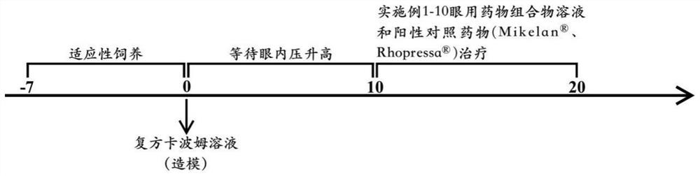 Compound medicine composition for treating glaucoma and application thereof