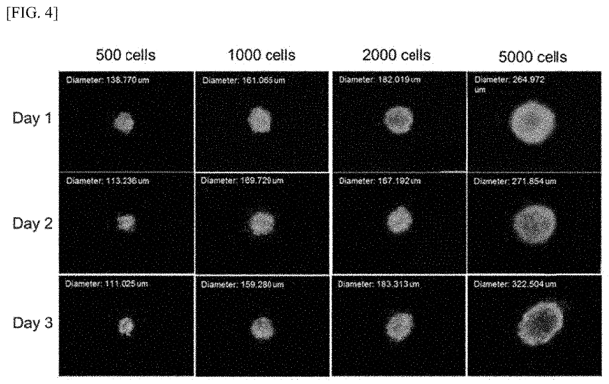 Preparation method of human-derived cardiac stem cell spheroid and use thereof