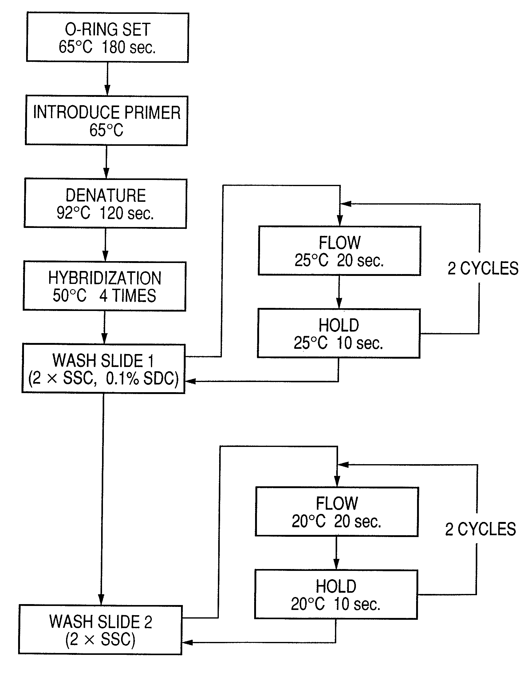 Probe, probe set, probe carrier, and testing method