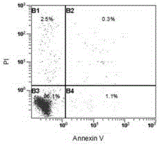 A human umbilical cord blood-derived regulatory T cell expansion medium and its application method