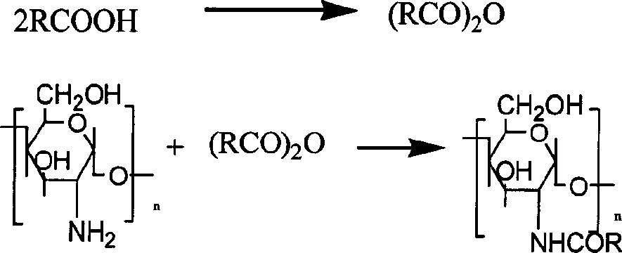 Chitosan or its derivative as drug carrier for carrying red sage root extract