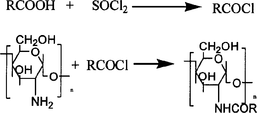 Chitosan or its derivative as drug carrier for carrying red sage root extract