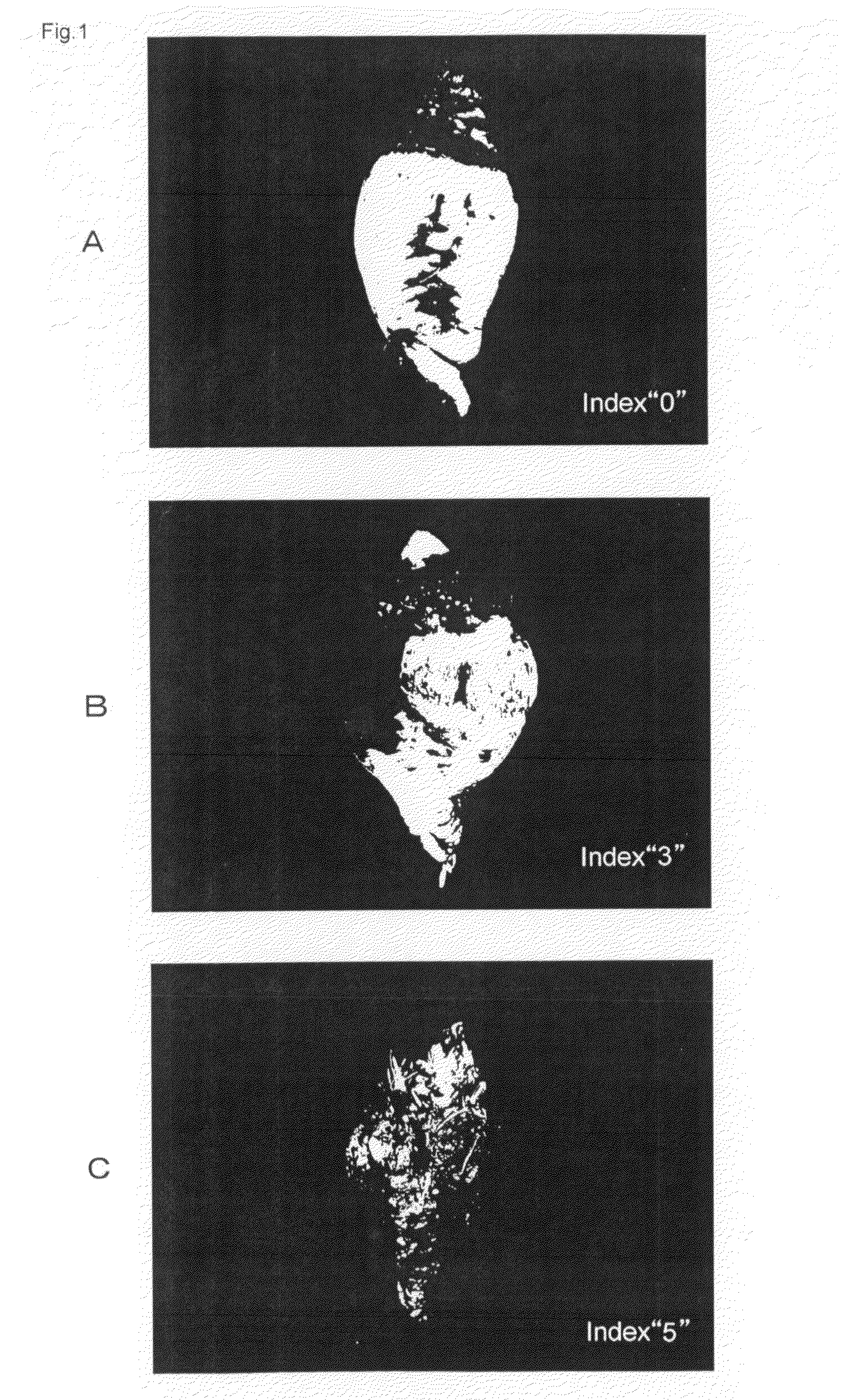 Marker for Selecting an Aphanomyces Cochlioides-Resistant Variety and Selection Method Therefor