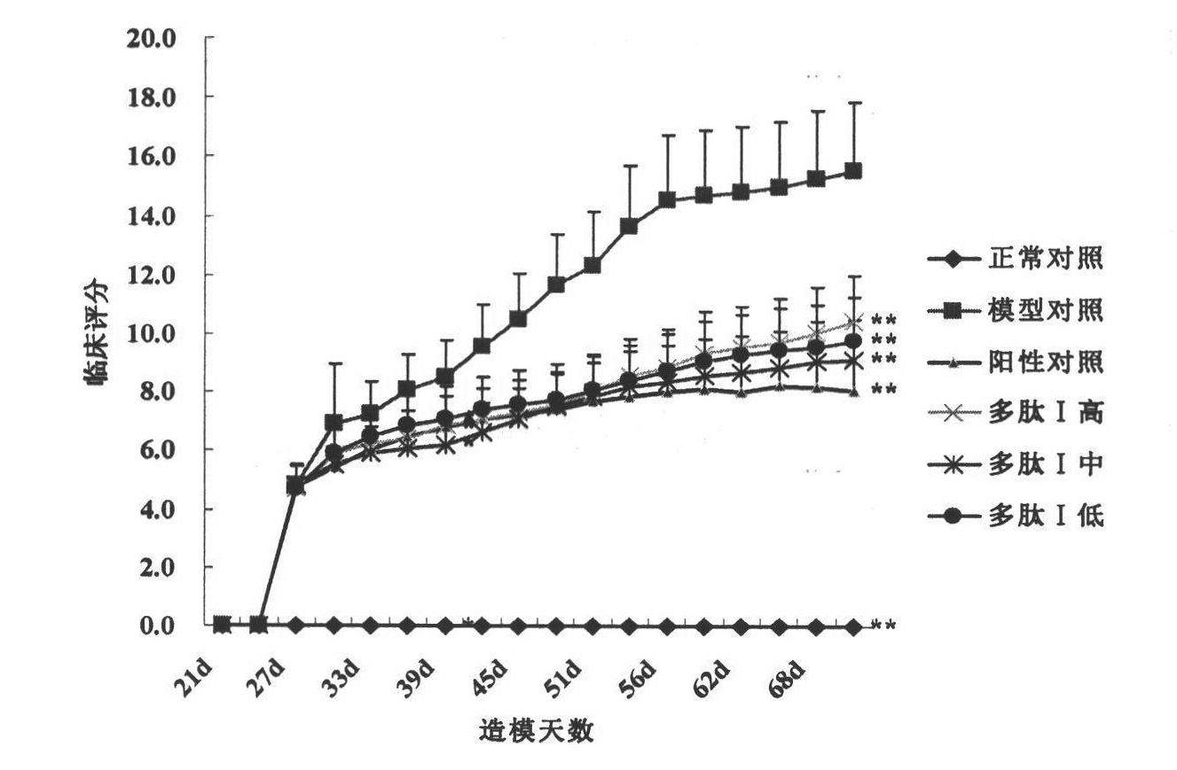 Application of polypeptides to preparation of medicament for treating or preventing rheumatoid arthritis