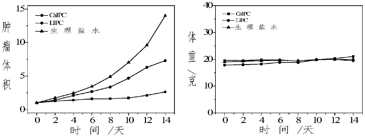 Preparation and application of nano-immunological preparation based on porous calcium carbonate