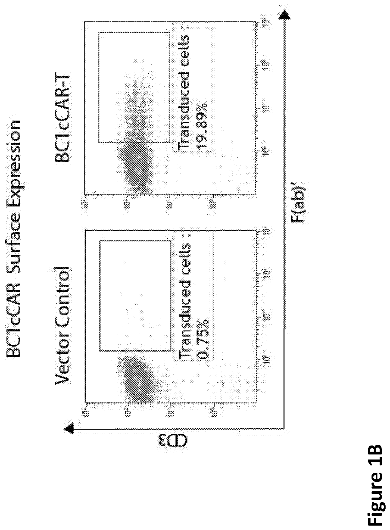 Compound Chimeric Antigen Receptor (CCAR) Targeting Multiple Antigents, Compositions and Methods of Use Thereof