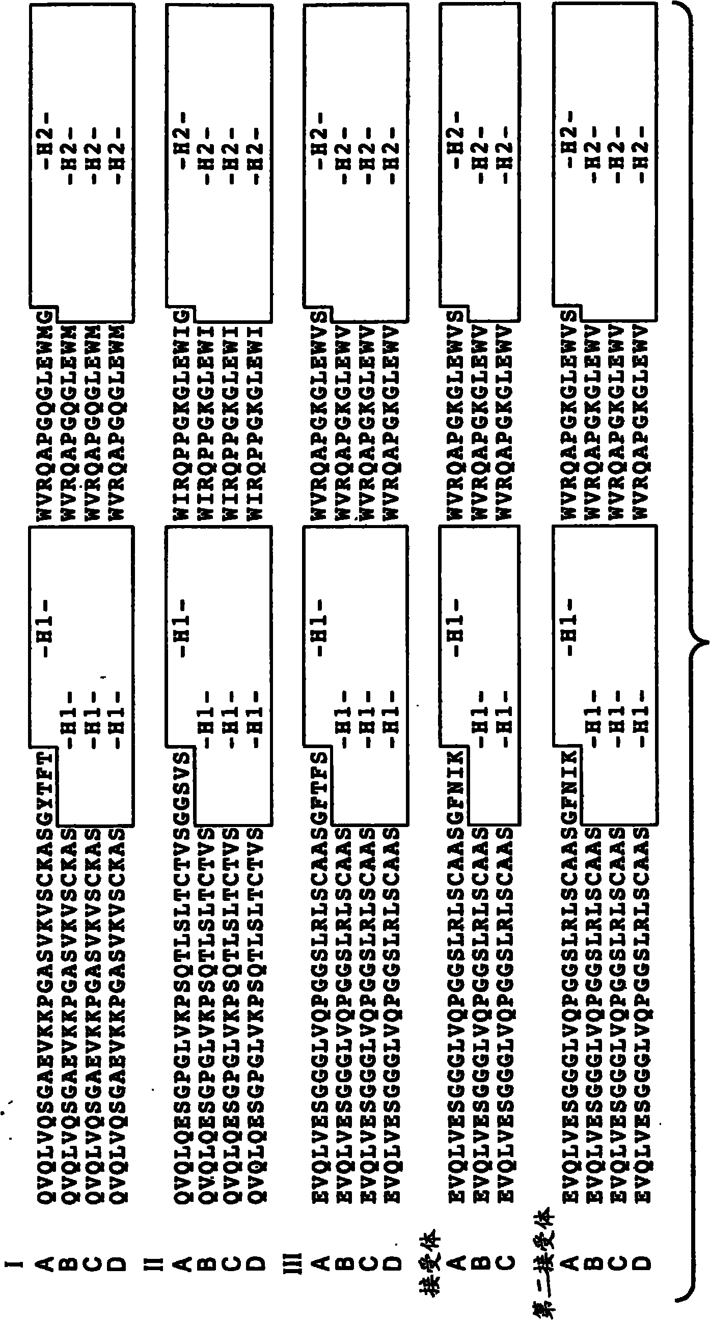 Anti-VEGF antibodies