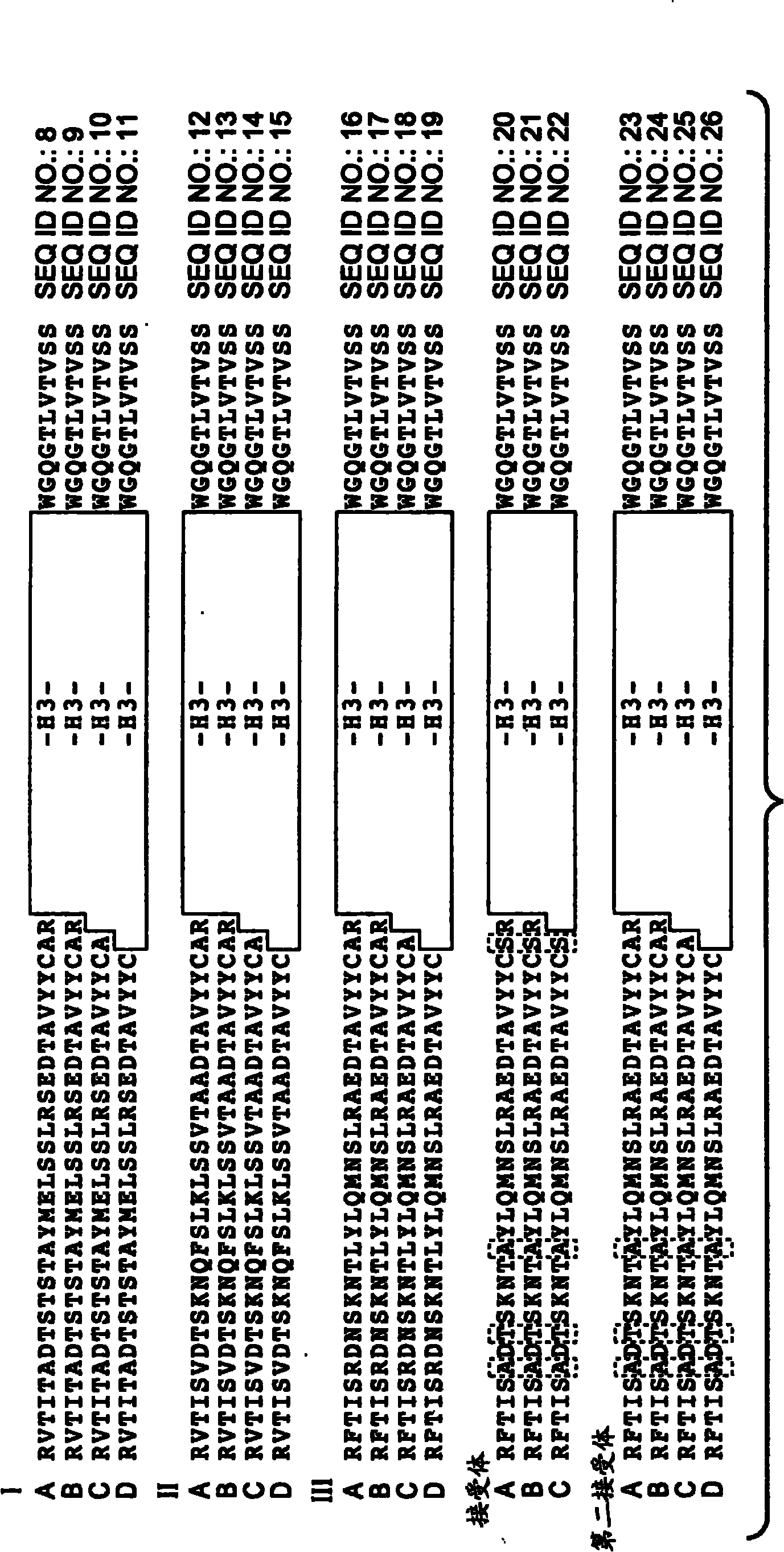 Anti-VEGF antibodies