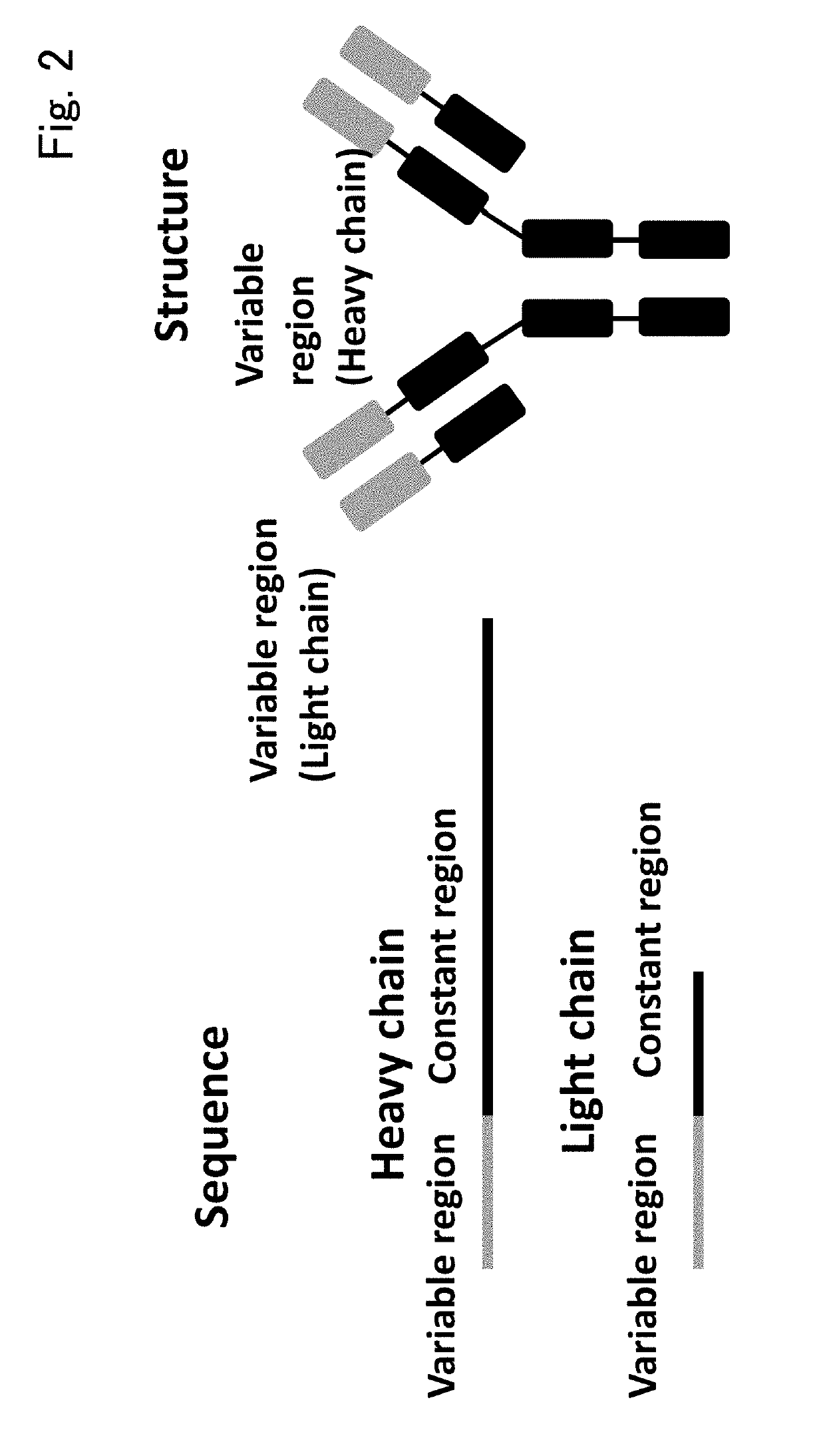 Immunological entity clustering software