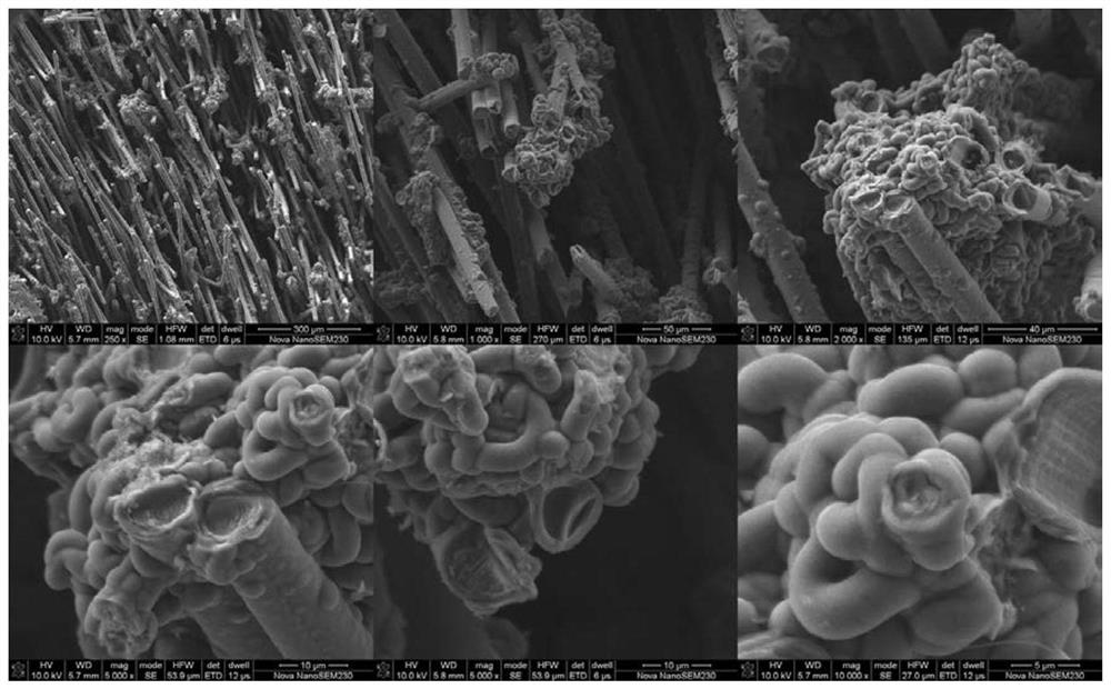 Preparation method of bent nano carbon fiber reinforced C/C composite material