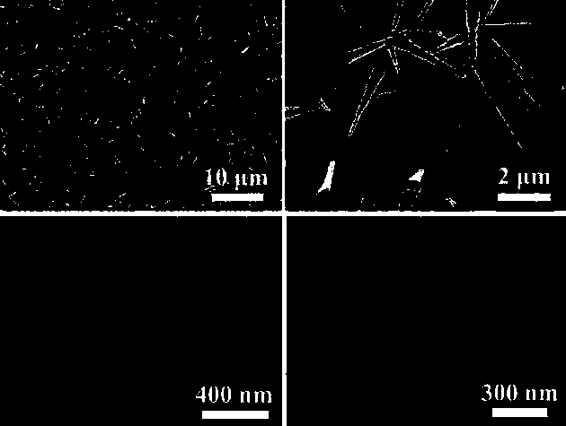 Method for improving emission stability of high-temperature electrons of SiC field emission cathode materials