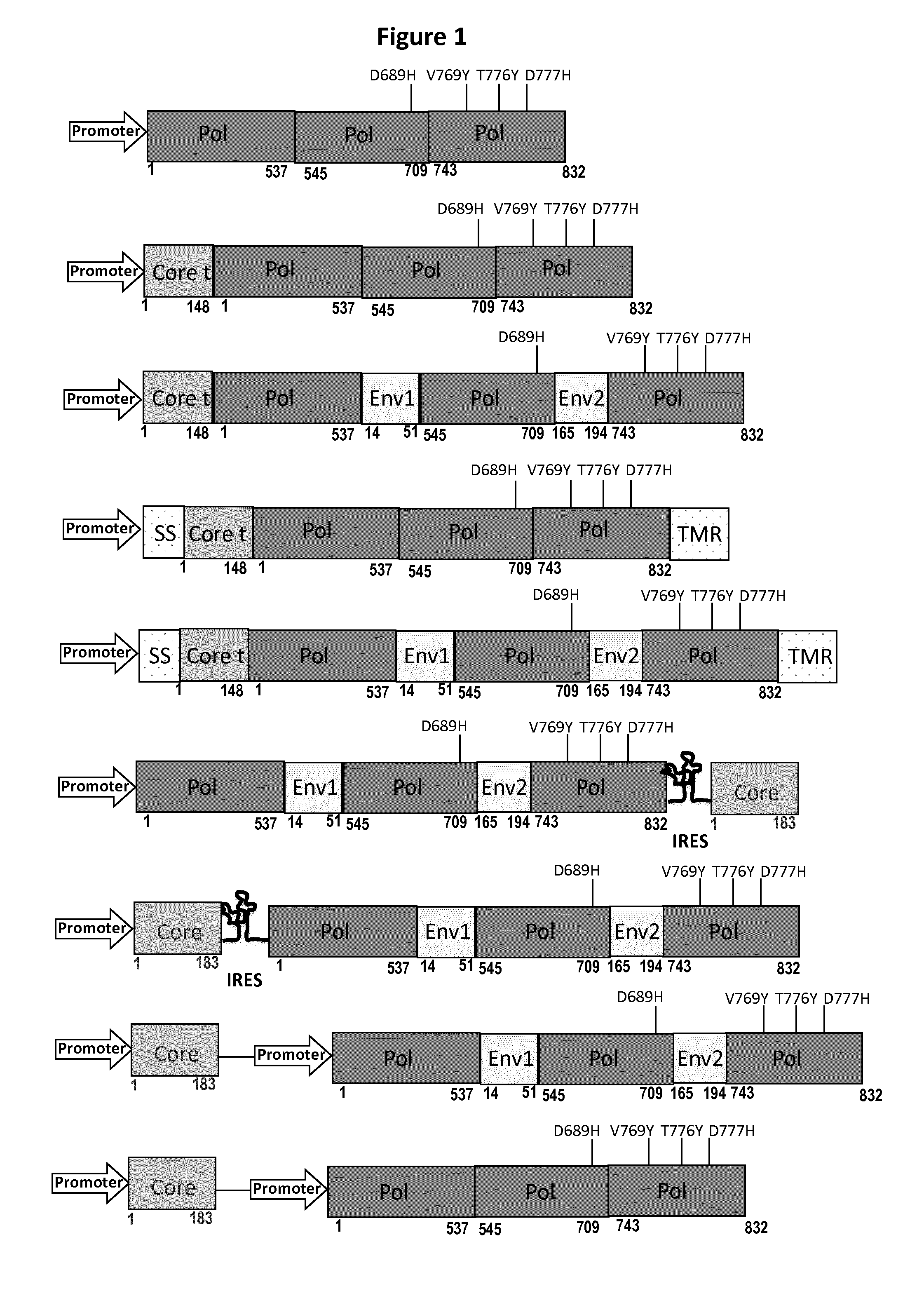 Hbv polymerase mutants