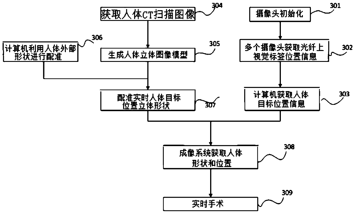 Surgical registration system using shape sensing optical fiber grids