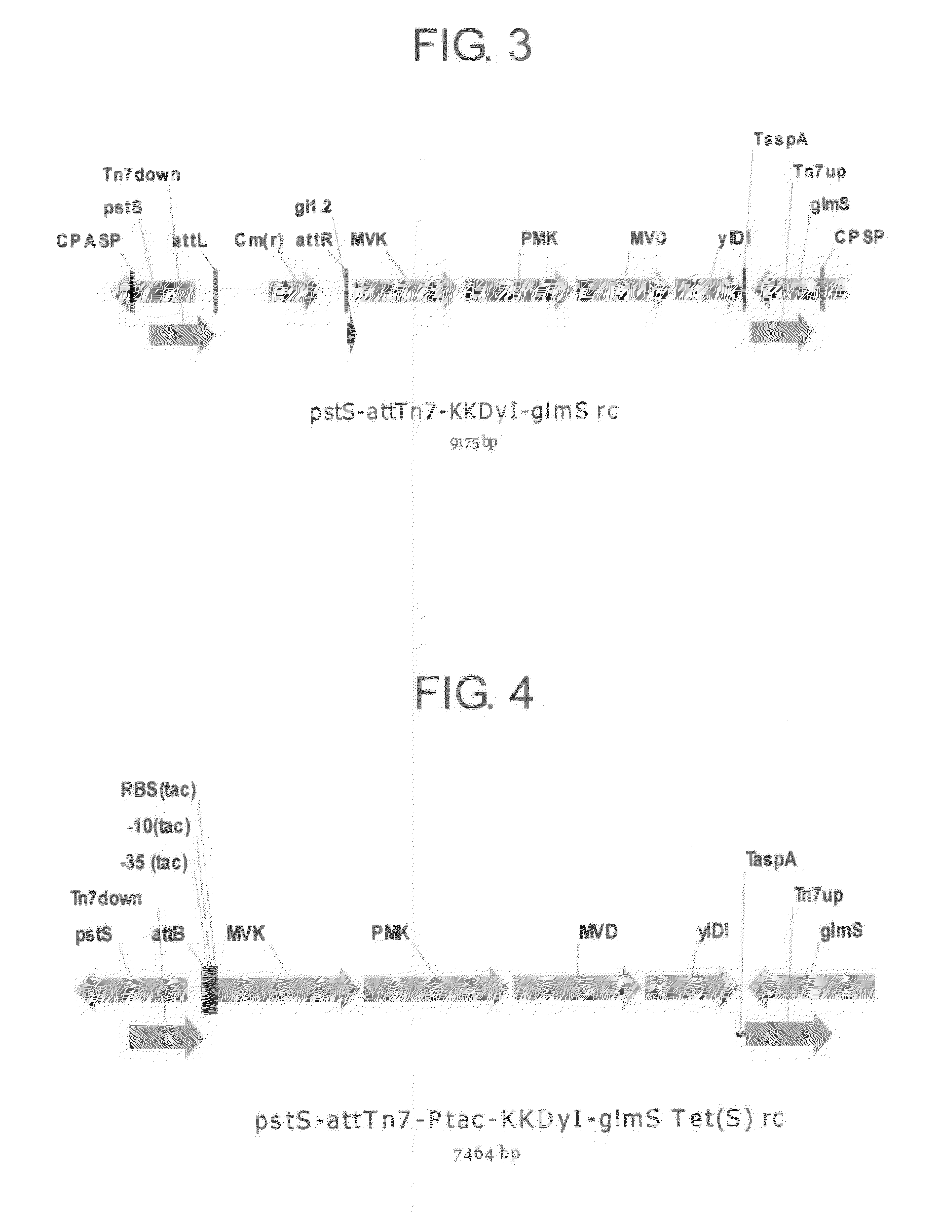 Isoprene synthase and gene encoding the same, and method for producing isoprene monomer