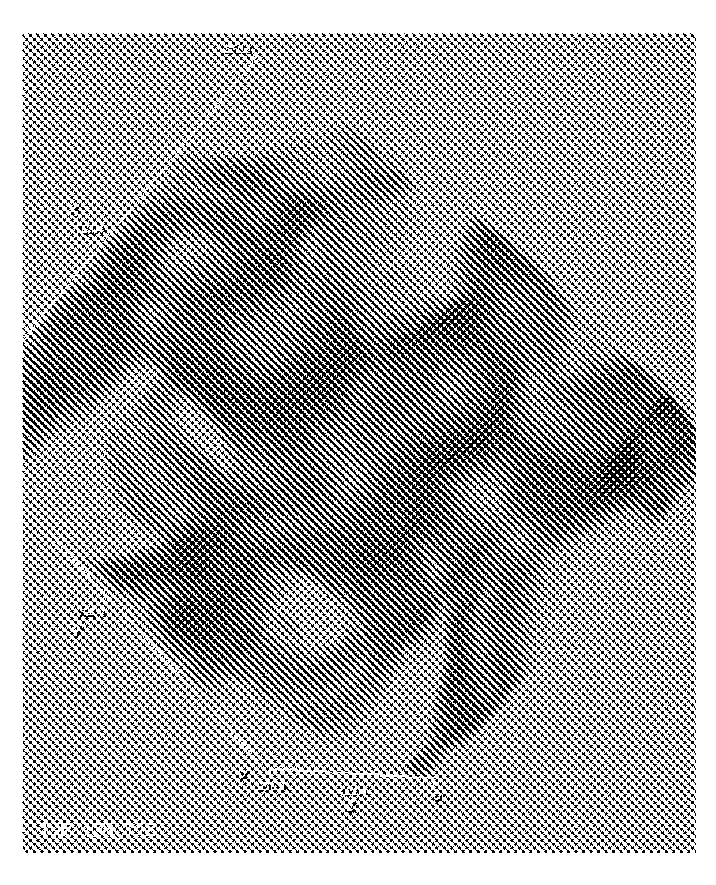 Parallel beam local tomography reconstruction method