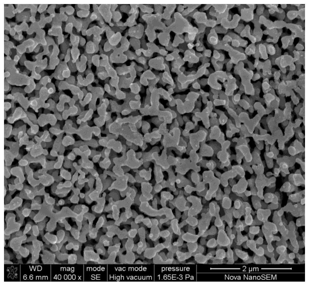 Preparation method for nano porous sliver powder