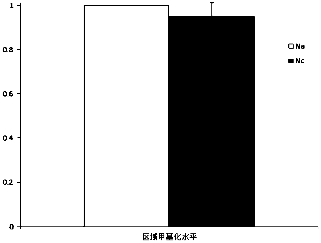 Application of PKP3 gene methylation in sperm activity detection agent and kit