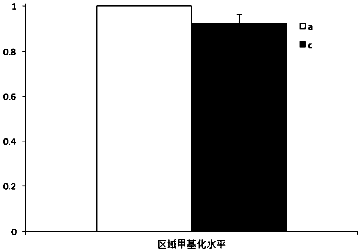 Application of PKP3 gene methylation in sperm activity detection agent and kit