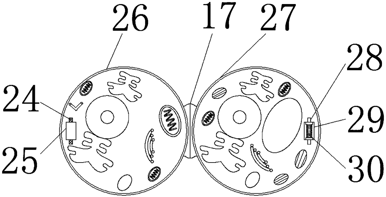 Cell biological teaching model robot with automatic cleaning function