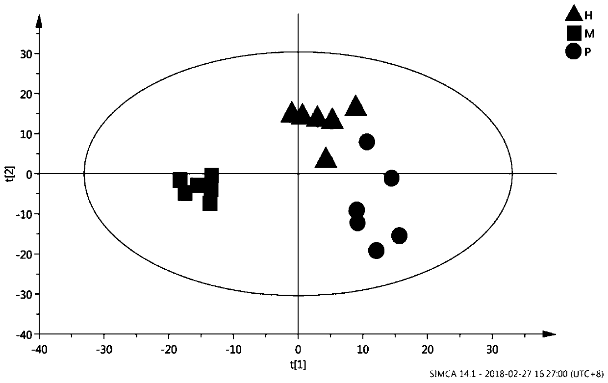 Metabolomic analysis method of safflower against scleroderma based on liquid chromatography-mass spectrometry