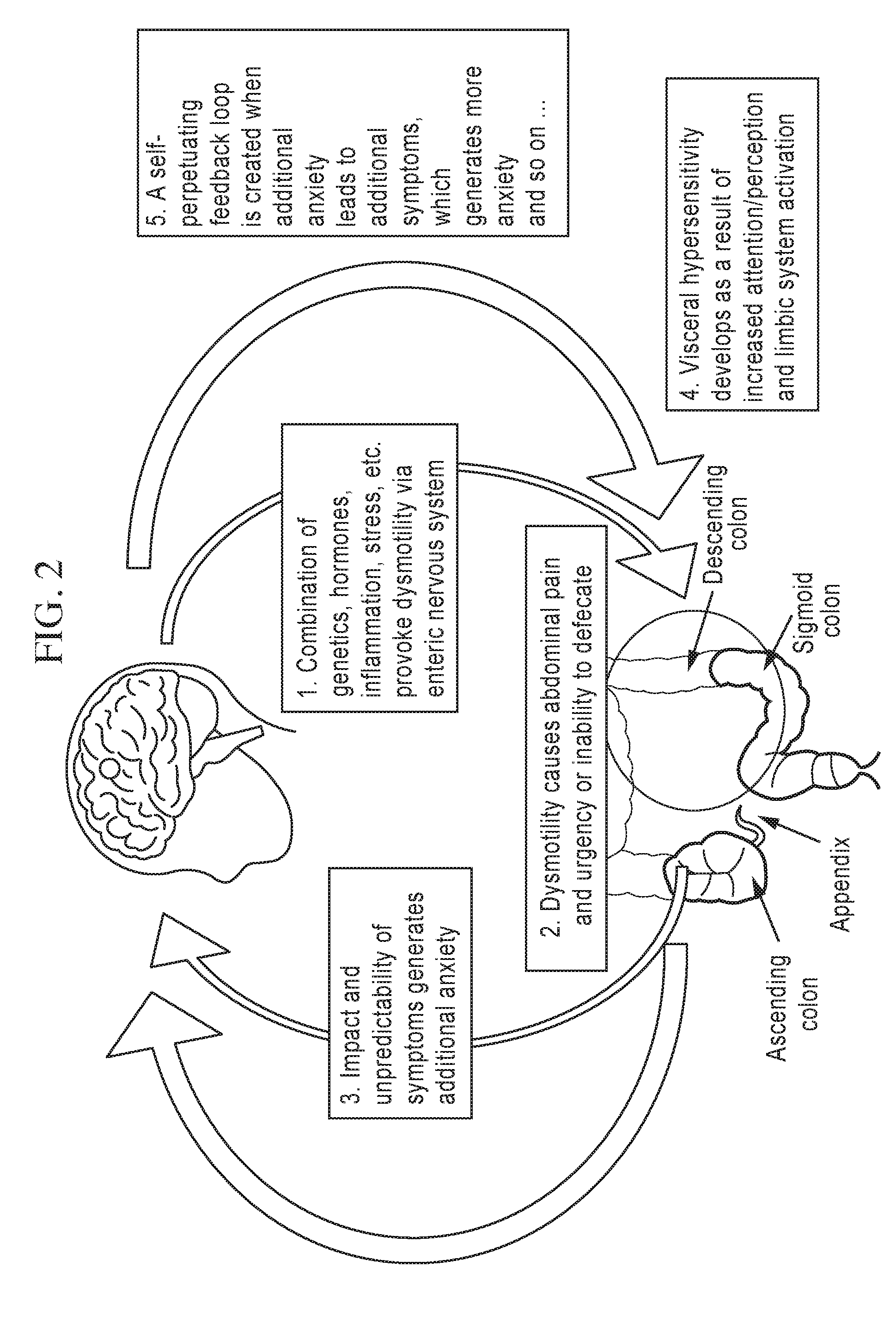 Therapeutic undergarments for the treatment of functional gastrointestinal disorders including irritable bowel syndrome