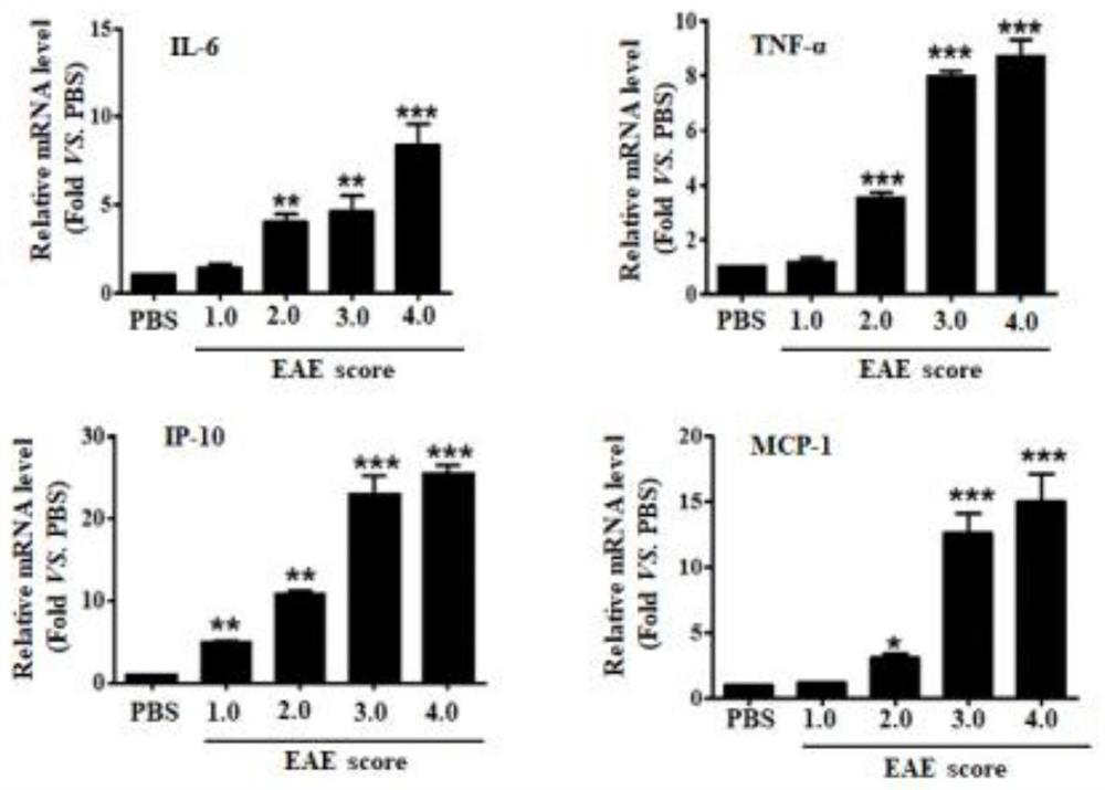 LncRNA targeting Notch1 gene and use of LncRNA