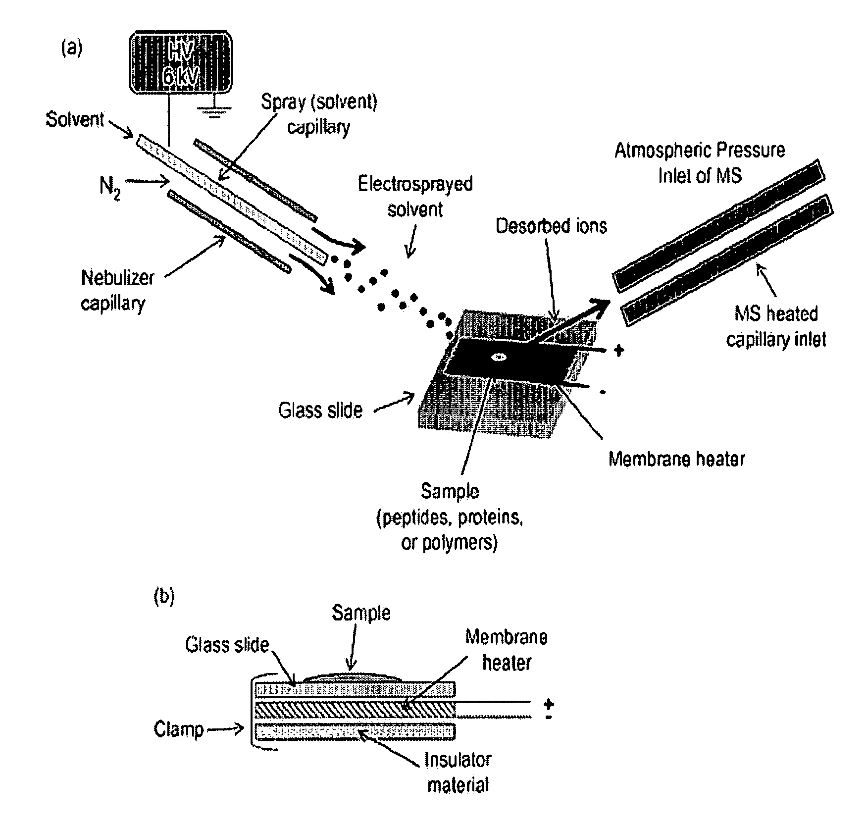 Method and Apparatus for Pyrolysis-Induced Cleavage in Peptides and Proteins