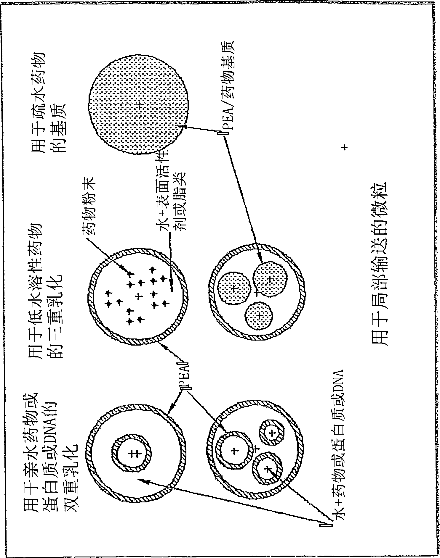 Vaccine delivery compositions and methods of use