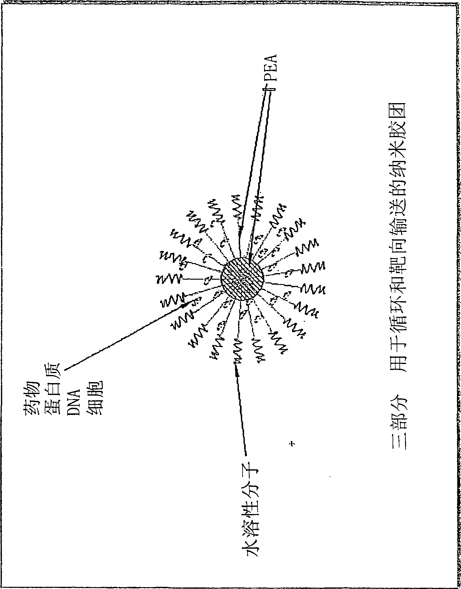 Vaccine delivery compositions and methods of use