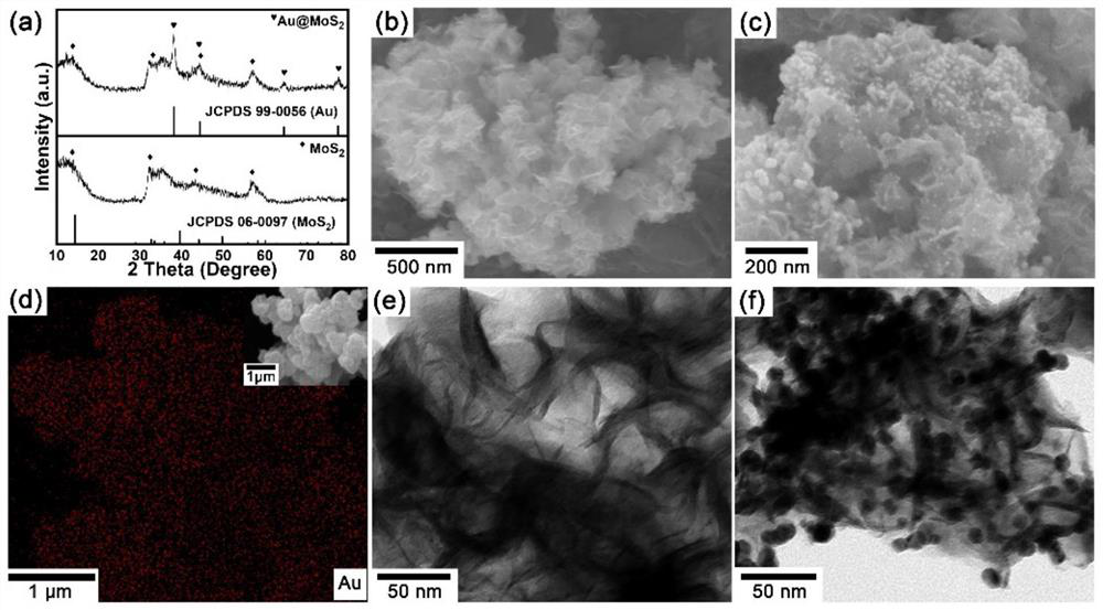 Au@MoS2-based localized surface plasma enhanced NO2 gas sensor and preparation method thereof