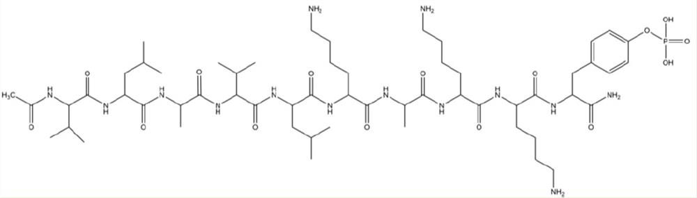 A kind of small molecule peptide and its preparation method and application as nanometer drug-carrying carrier