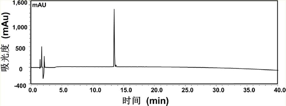 A kind of small molecule peptide and its preparation method and application as nanometer drug-carrying carrier