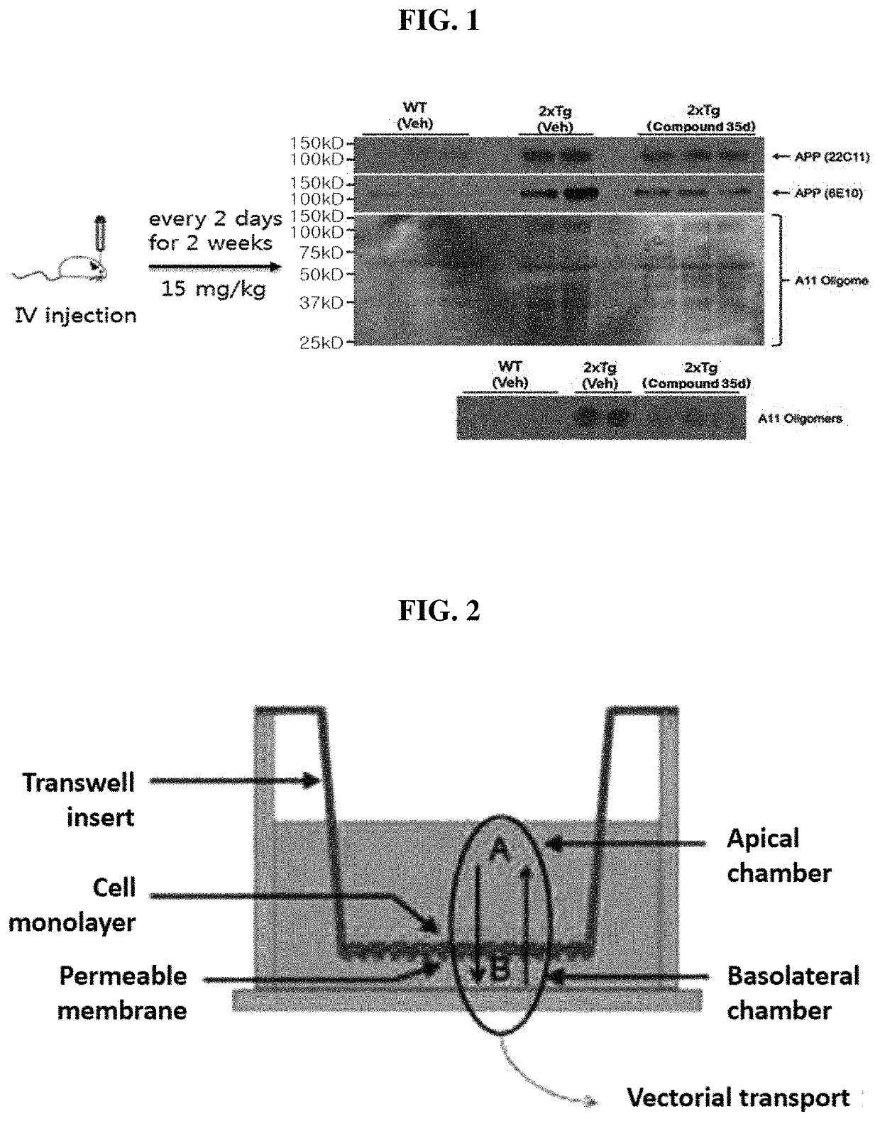 Benzimidazole derivative having JNK inhibitory activity and use thereof