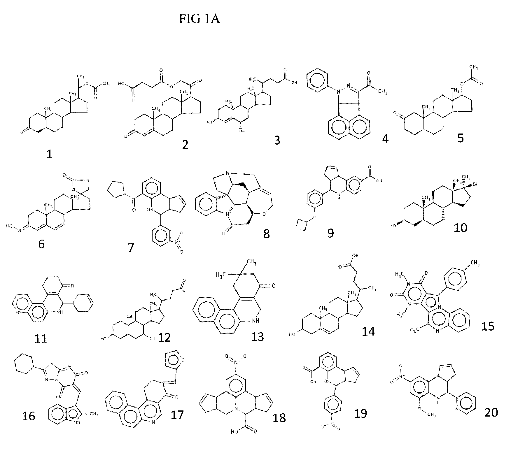 Compositions and methods for inhibiting norovirus infection