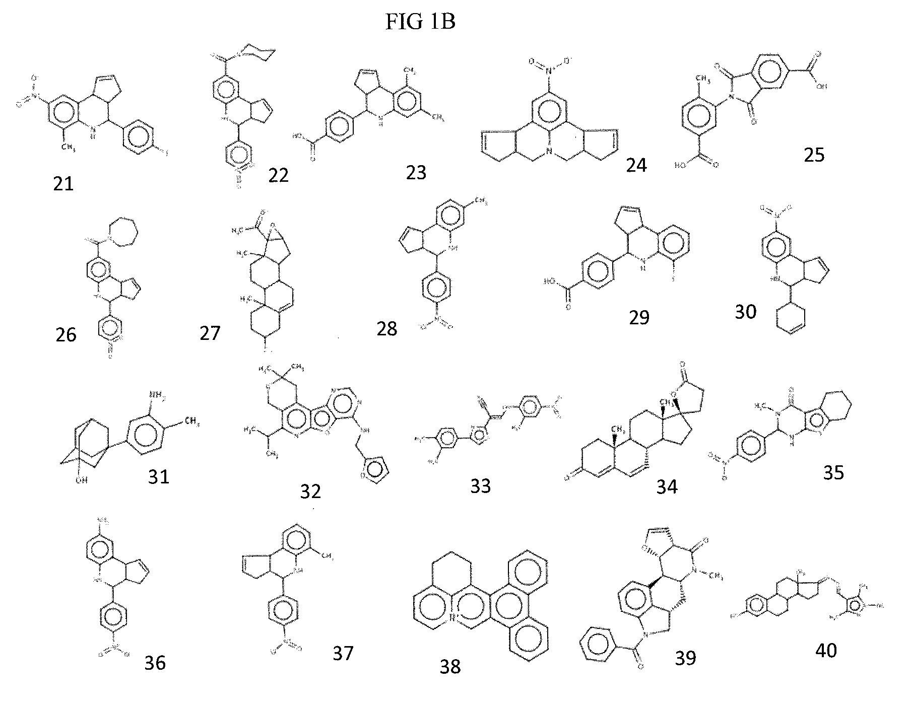 Compositions and methods for inhibiting norovirus infection