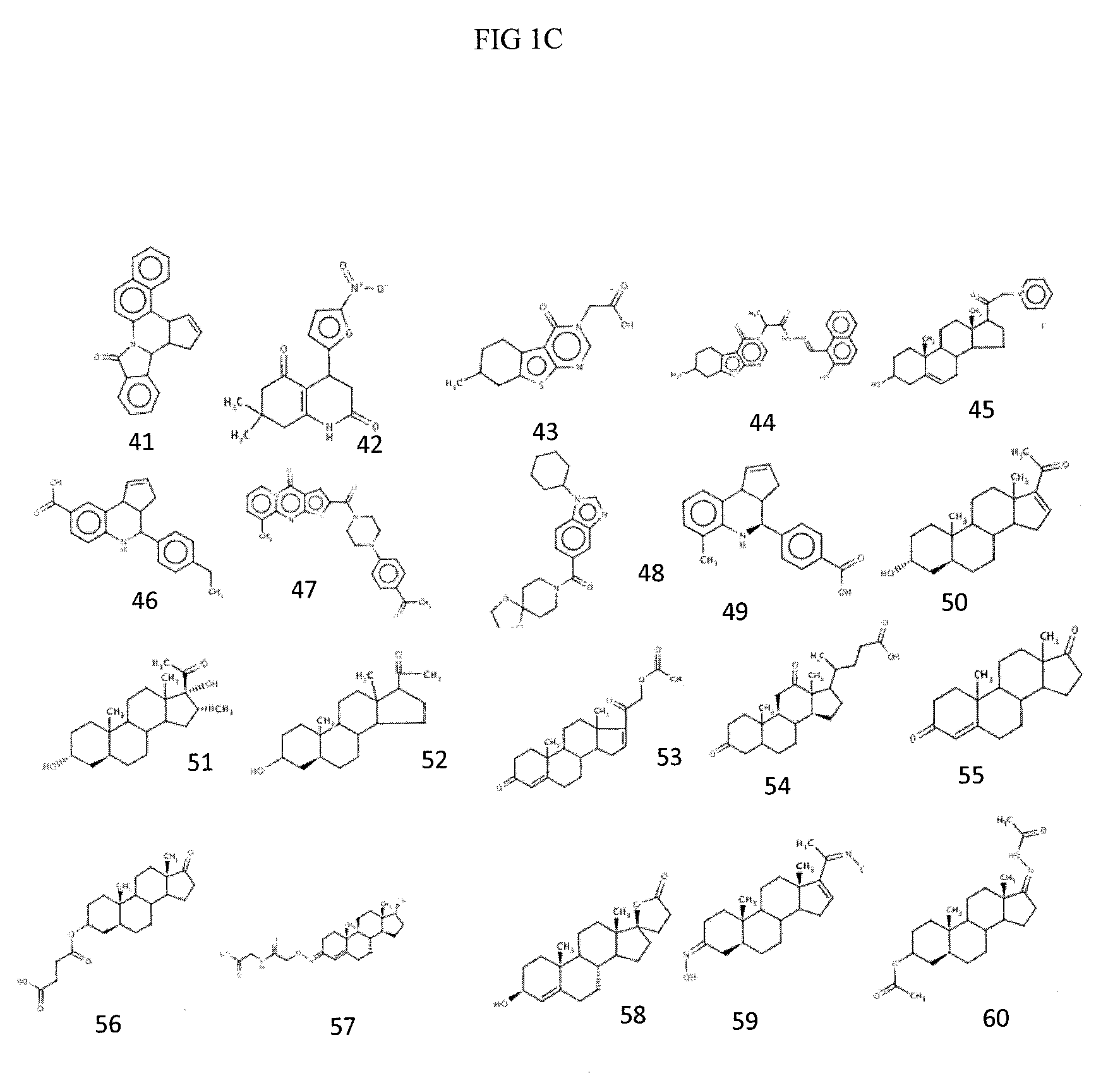 Compositions and methods for inhibiting norovirus infection