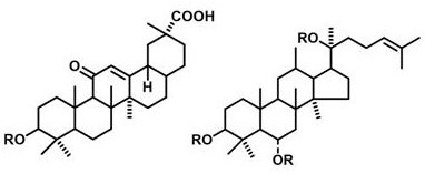 A kind of injectable natural triterpenoid antibacterial hydrogel and preparation method thereof