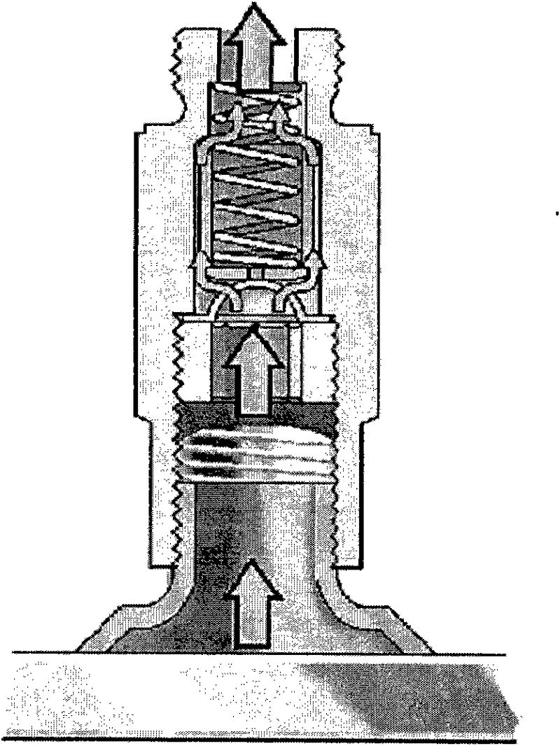 Vacuum protective valve