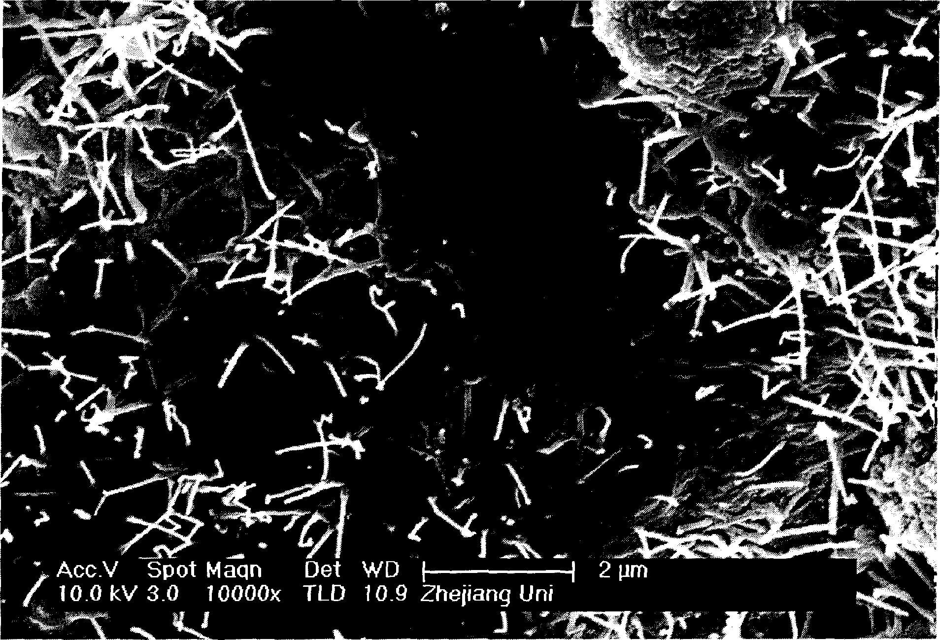 Zero pressure and permeation for preparation of carbon nanometer tube reinforced aluminum base composite material