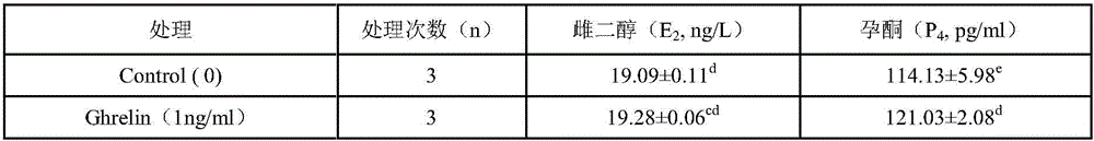 Application of octanoyl Ghrelin in promotion of bovine oocyte in vitro maturation