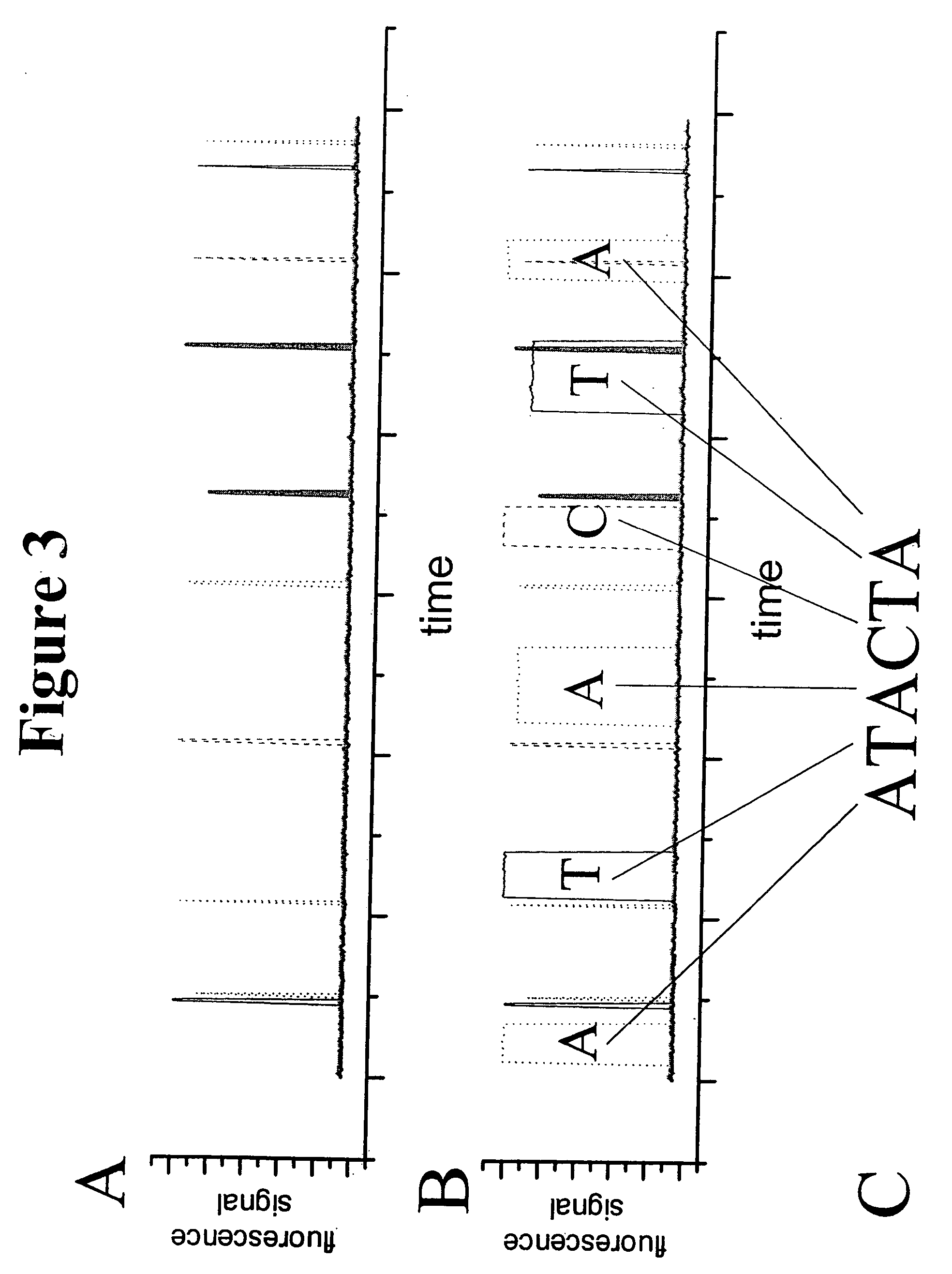 Method for sequencing nucleic acid molecules