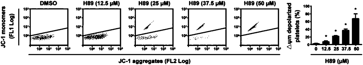 Use of protein kinase A inhibitor in preparation of medicament for treating diseases related to increase of number of platelets