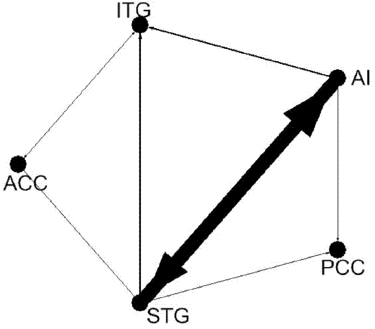 Detection method for causal connection strength of magnetic resonance brain imaging based on PCA (Principal component analysis) and GCA (Granger causality analysis)